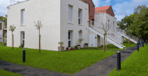 Consolider-les-vegetaux-plaques-pour-vegetaux-1