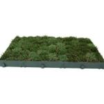 GREENPLAC-PREVEGETALISE-GAZON-PICT-PS-1
