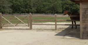 amenager-un-sol-equestre-ou-agricole-plaques-pour-sols-equestres-et-agricoles-1