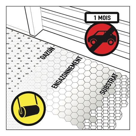 engazonnement parking